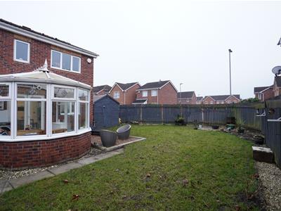 Picture 14